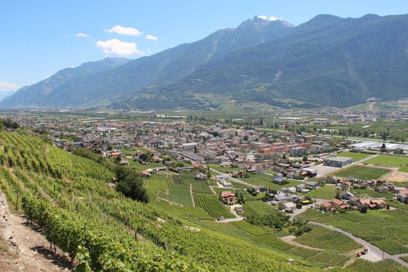 déménageur valais