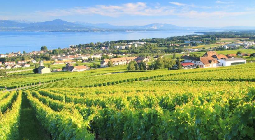 vaud