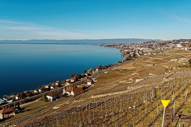 Déménagement Suisse France