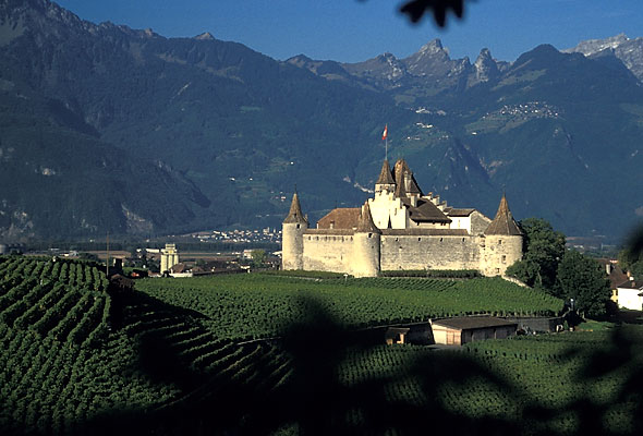 entreprise de déménagement Aigle